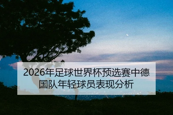nian-zu-qiu-shi-jie-bei-yu-xuan-sai-zhong-de-guo-dui-nian-qing-qiu-yuan-biao-xian-fen-xi-2-787.jpg