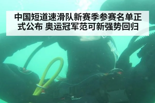 中国短道速滑队新赛季参赛名单正式公布 奥运冠军范可新强势回归